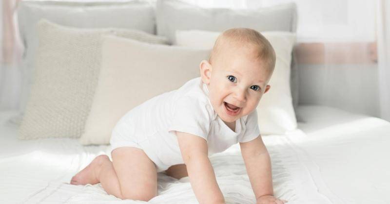 Pexels/HenleyDesignStudio